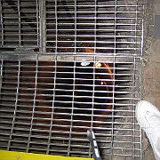 Picture 011
